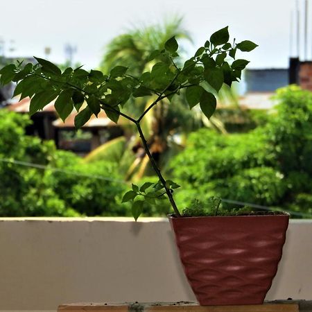 Flor Del Valle Posada Тарапото Екстер'єр фото
